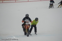 Skijöring MSC Ruhpolding 2013