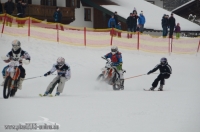 Skijöring MSC Ruhpolding 2013