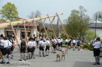 Siegsdorf Maibaum 1. Mai 2013